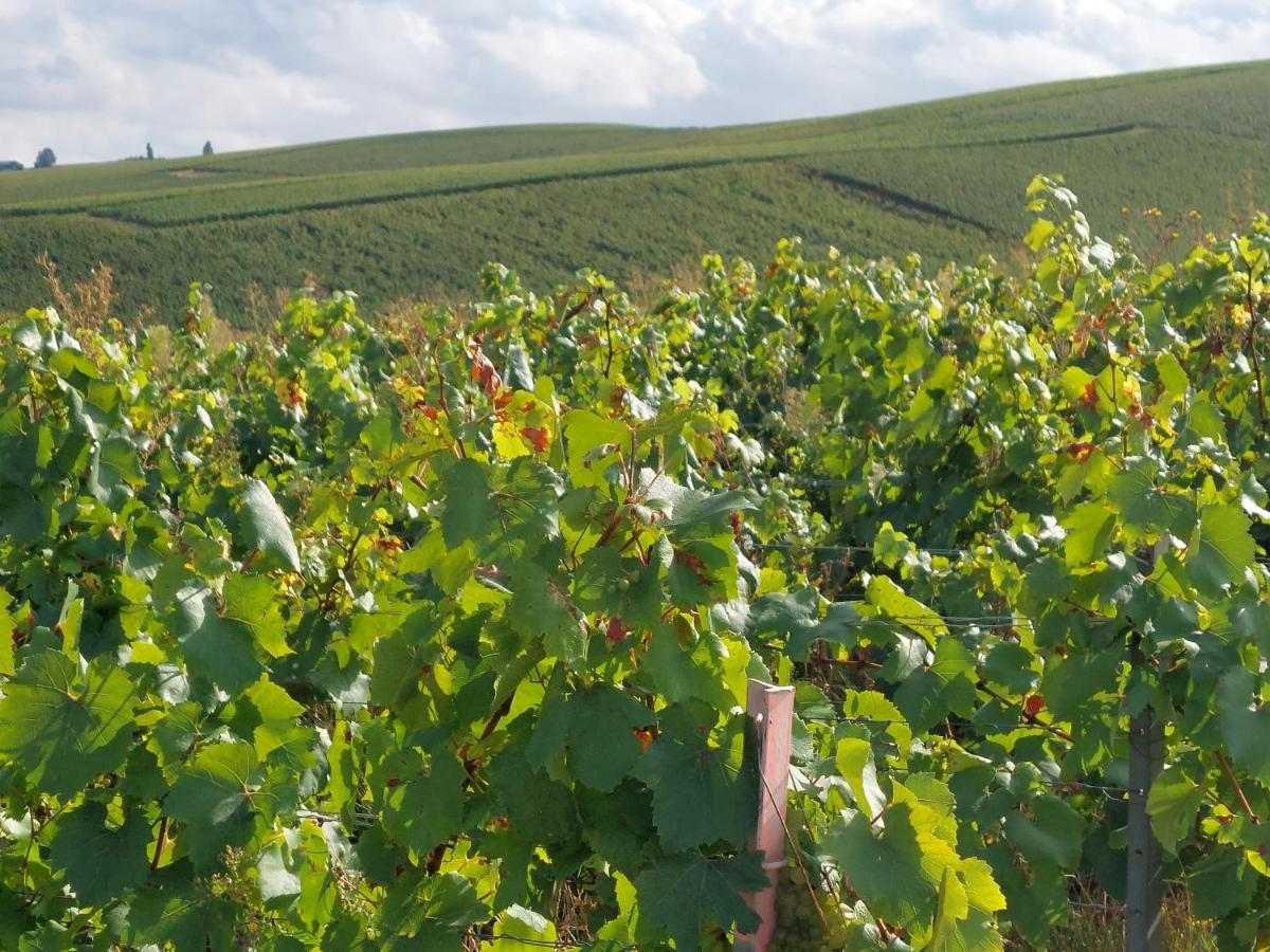 Epernay Capital De Champagne Διαμέρισμα Εξωτερικό φωτογραφία
