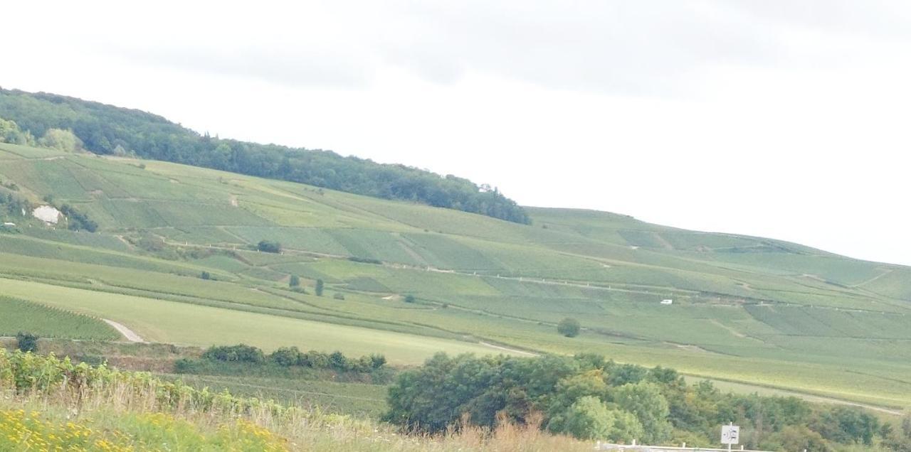 Epernay Capital De Champagne Διαμέρισμα Εξωτερικό φωτογραφία