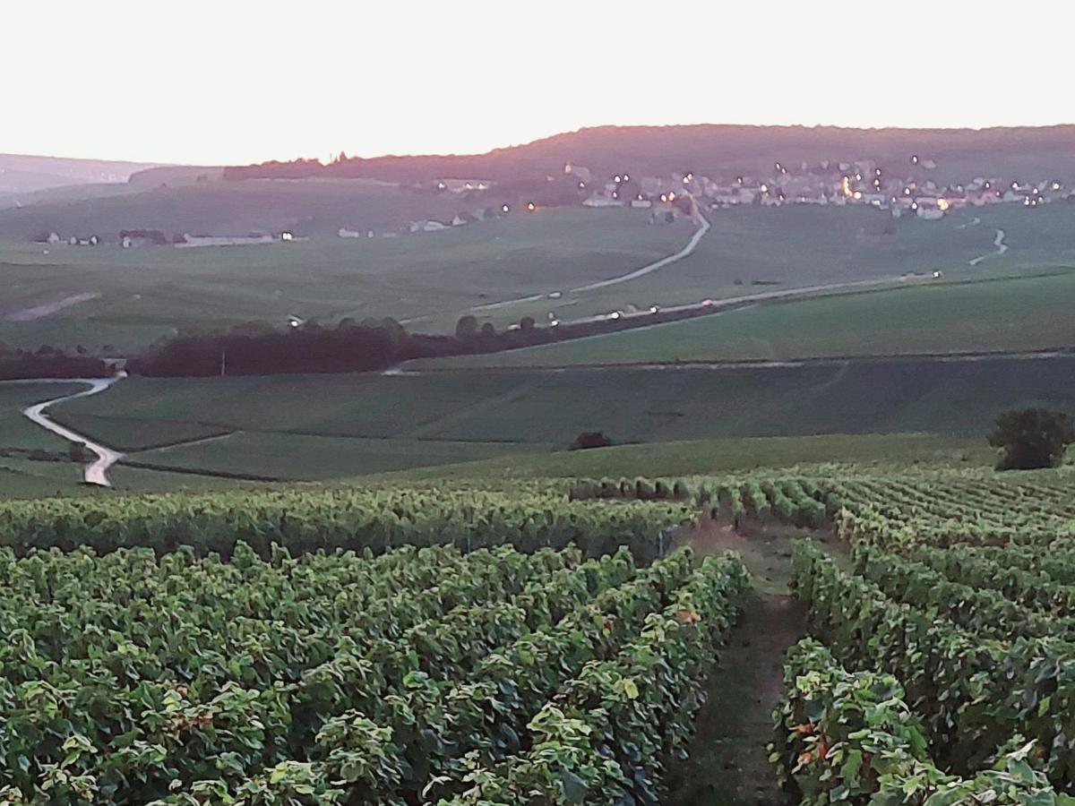 Epernay Capital De Champagne Διαμέρισμα Εξωτερικό φωτογραφία