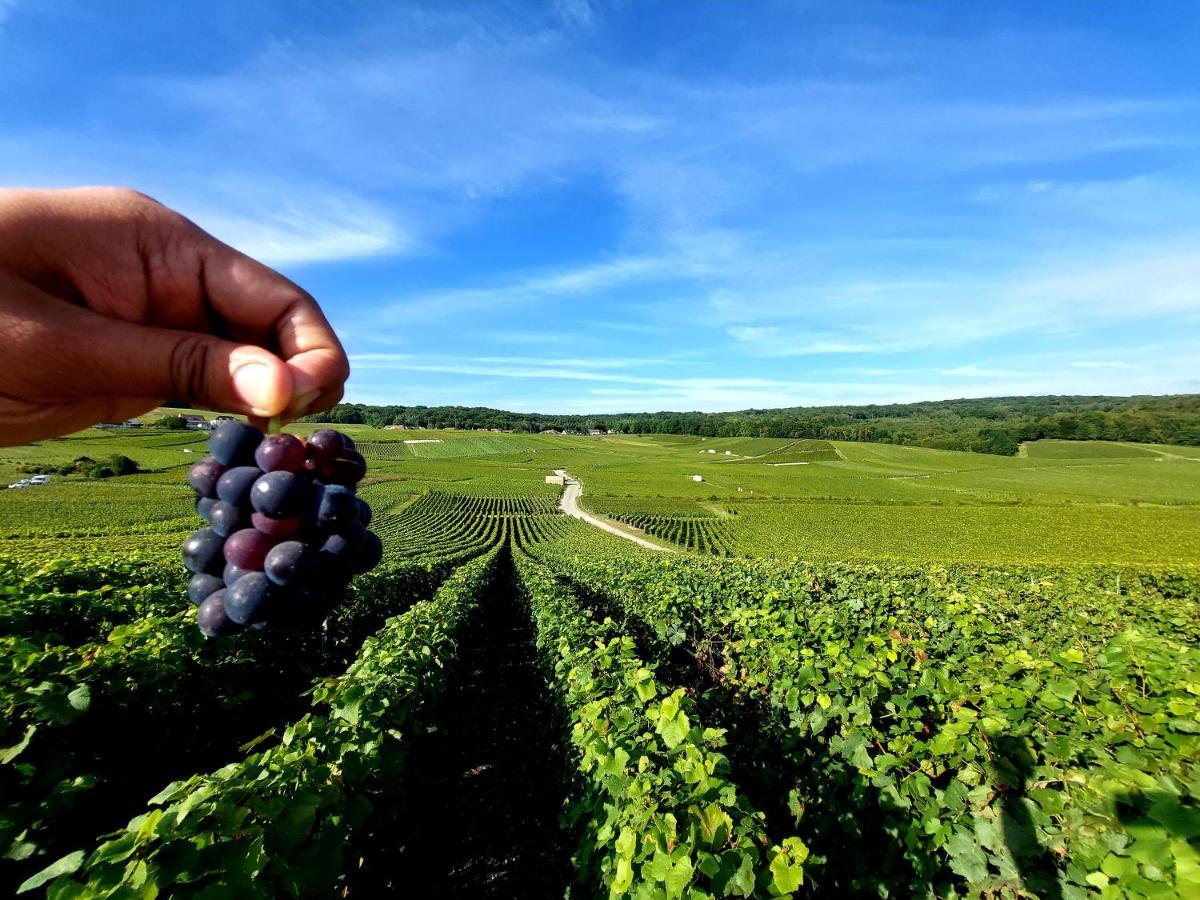 Epernay Capital De Champagne Διαμέρισμα Εξωτερικό φωτογραφία