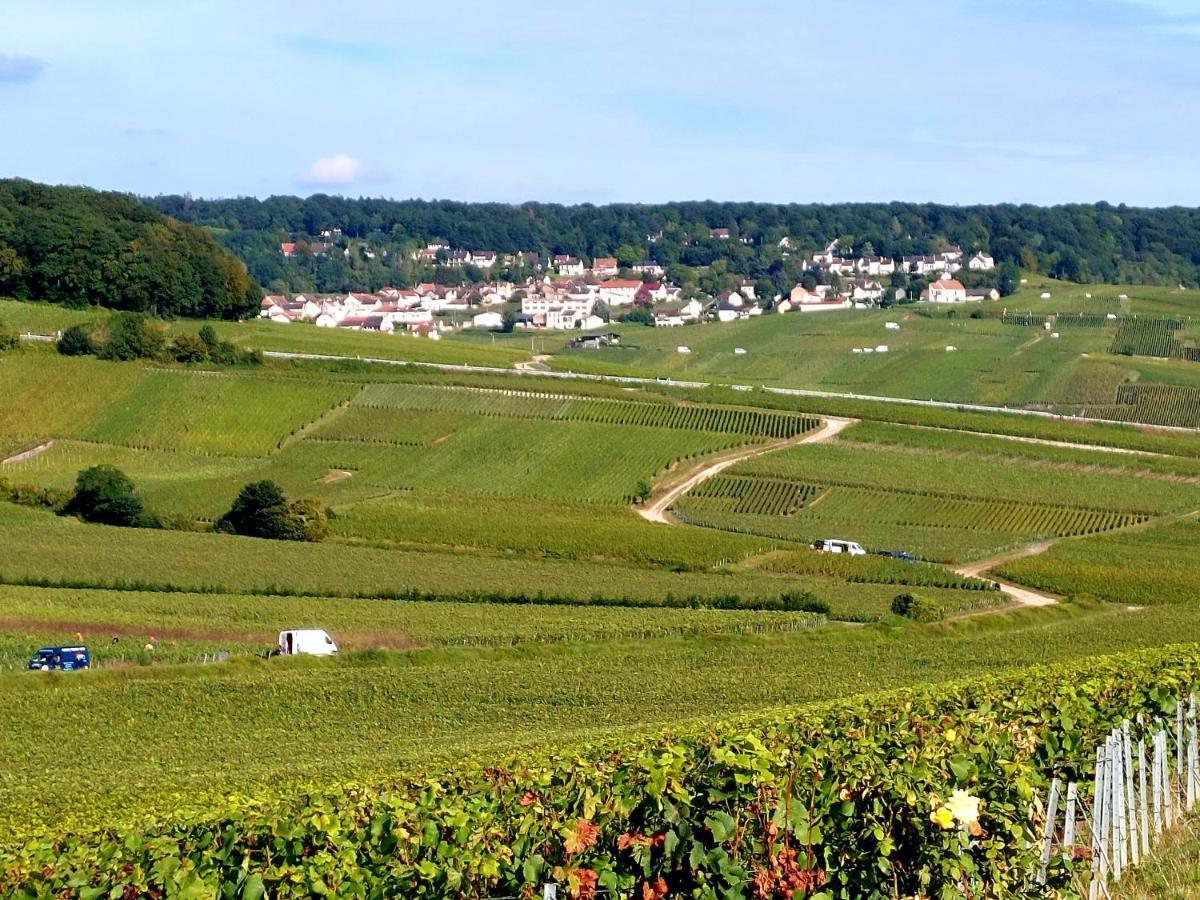 Epernay Capital De Champagne Διαμέρισμα Εξωτερικό φωτογραφία