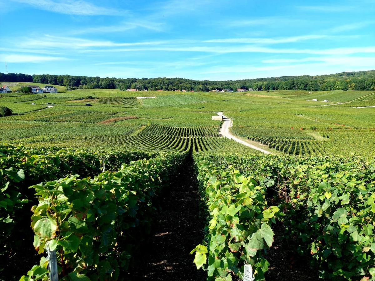Epernay Capital De Champagne Διαμέρισμα Εξωτερικό φωτογραφία