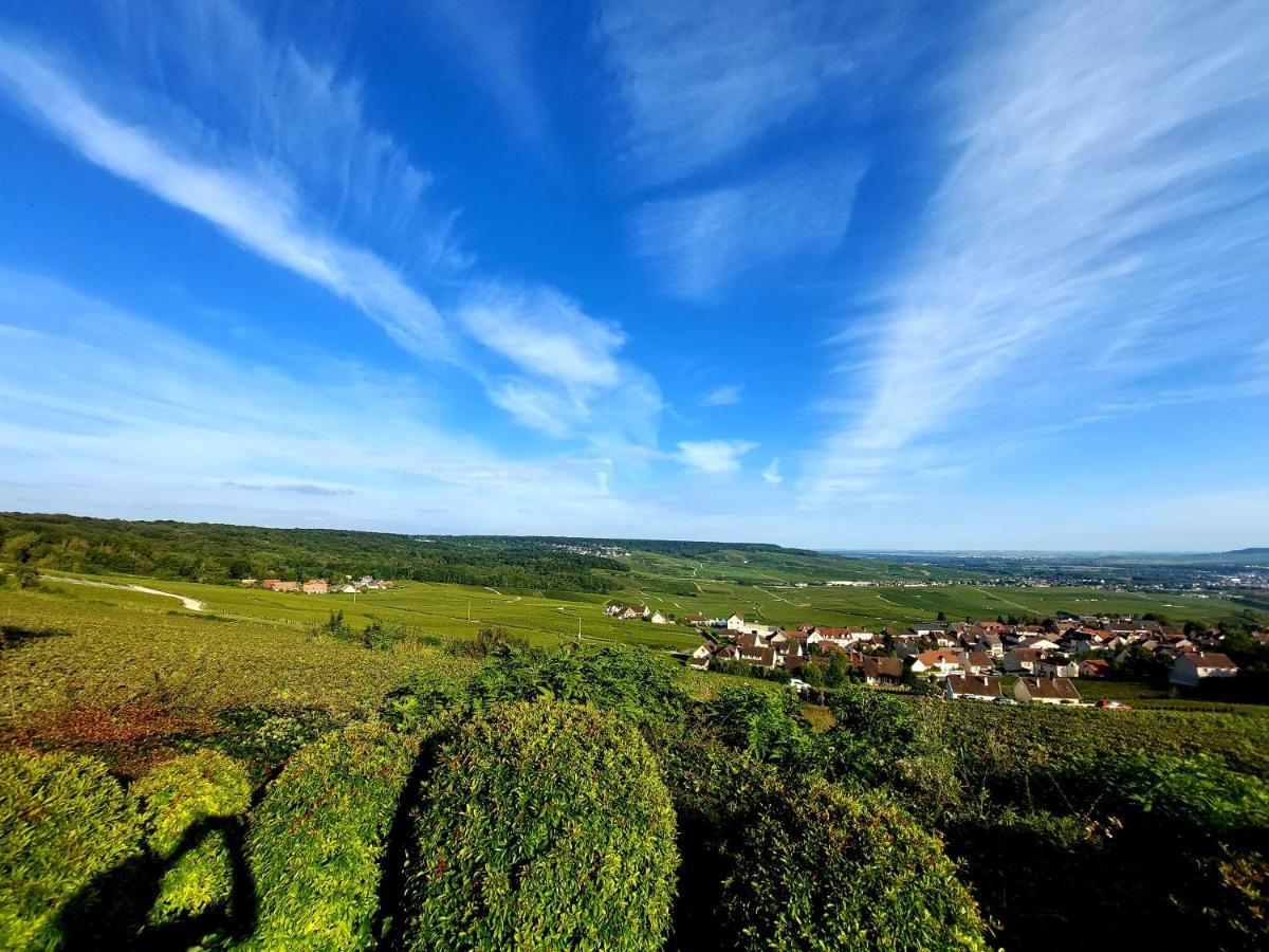 Epernay Capital De Champagne Διαμέρισμα Εξωτερικό φωτογραφία